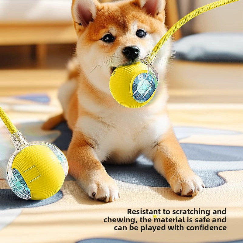 Pet toy ball