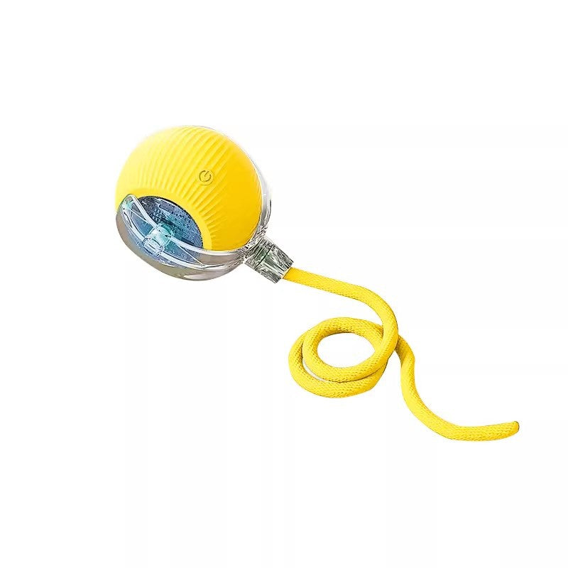 Pet toy ball