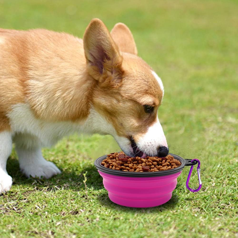 TrailSip Travel Bowl