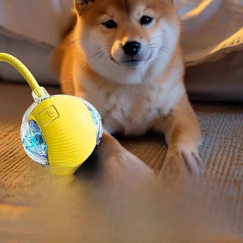 Pet toy ball