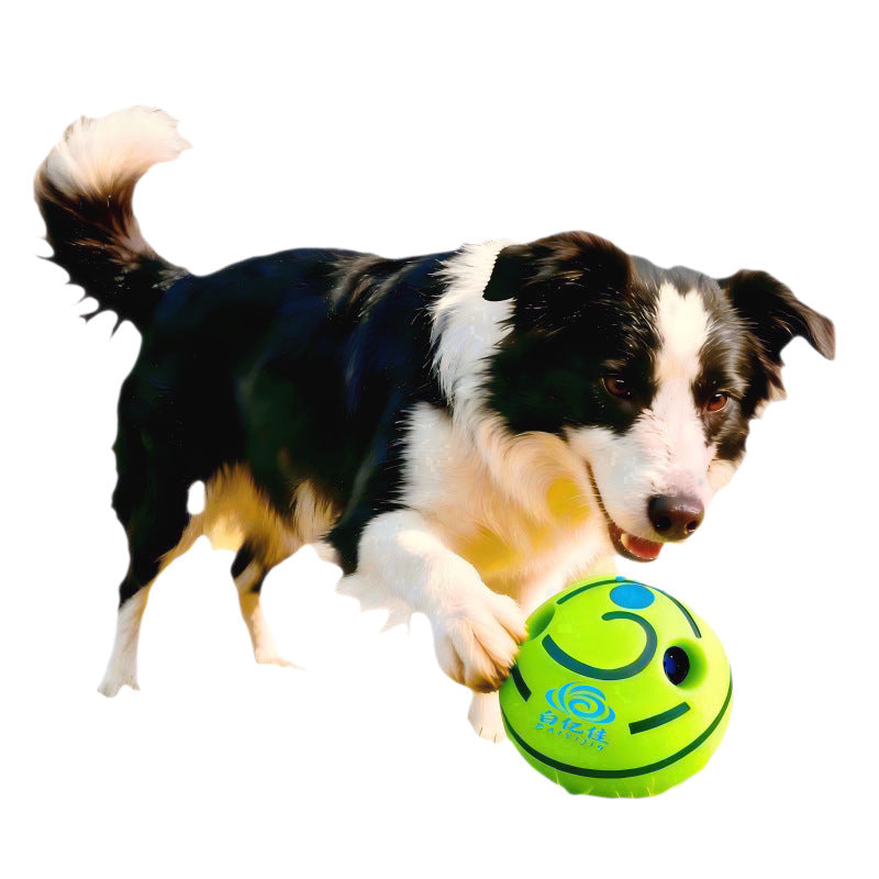 Durable Squeaky Chew Toys for Dogs