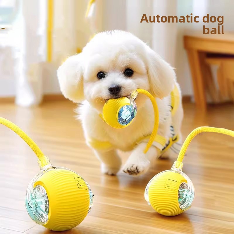 Pet toy ball