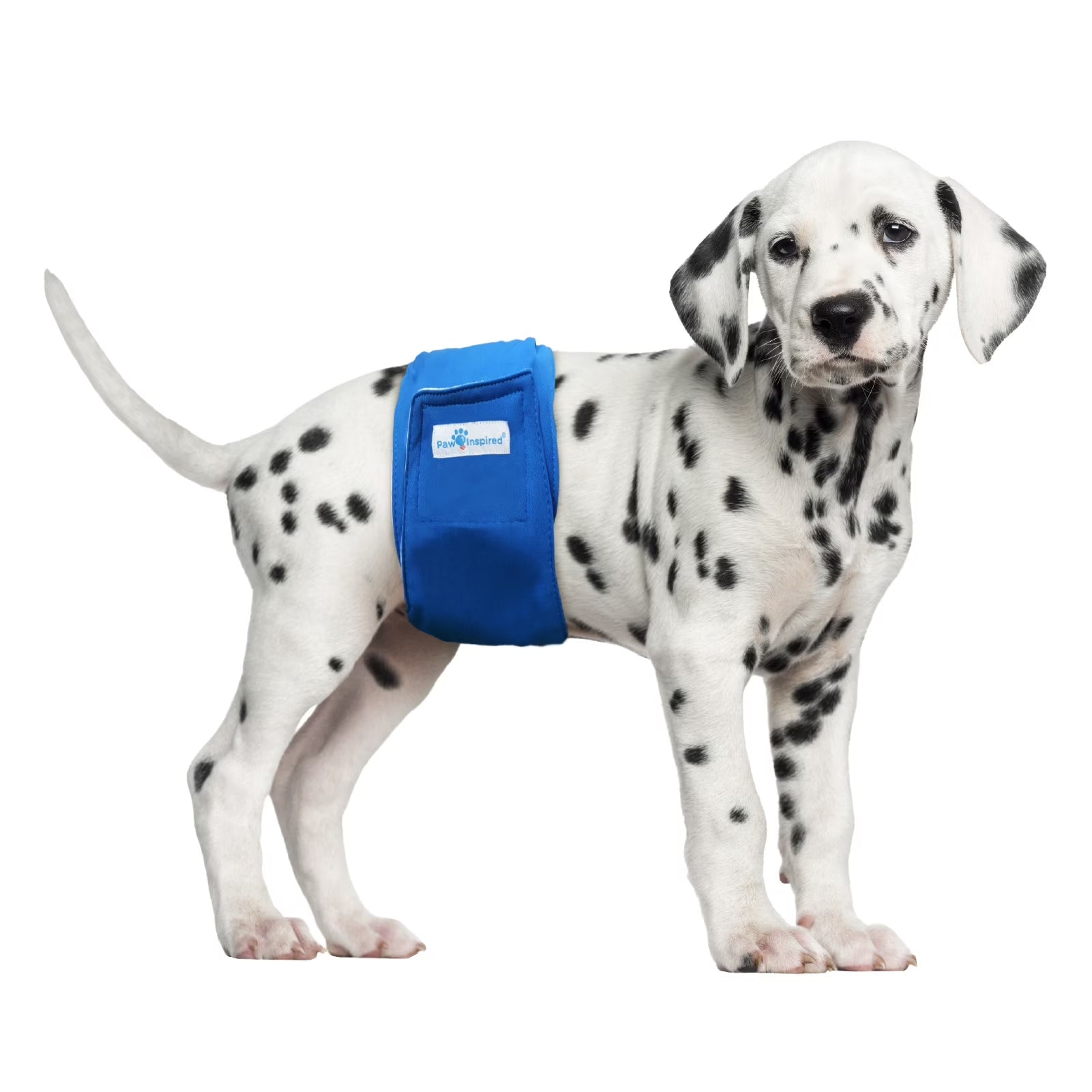 Reusable Dog Diapers