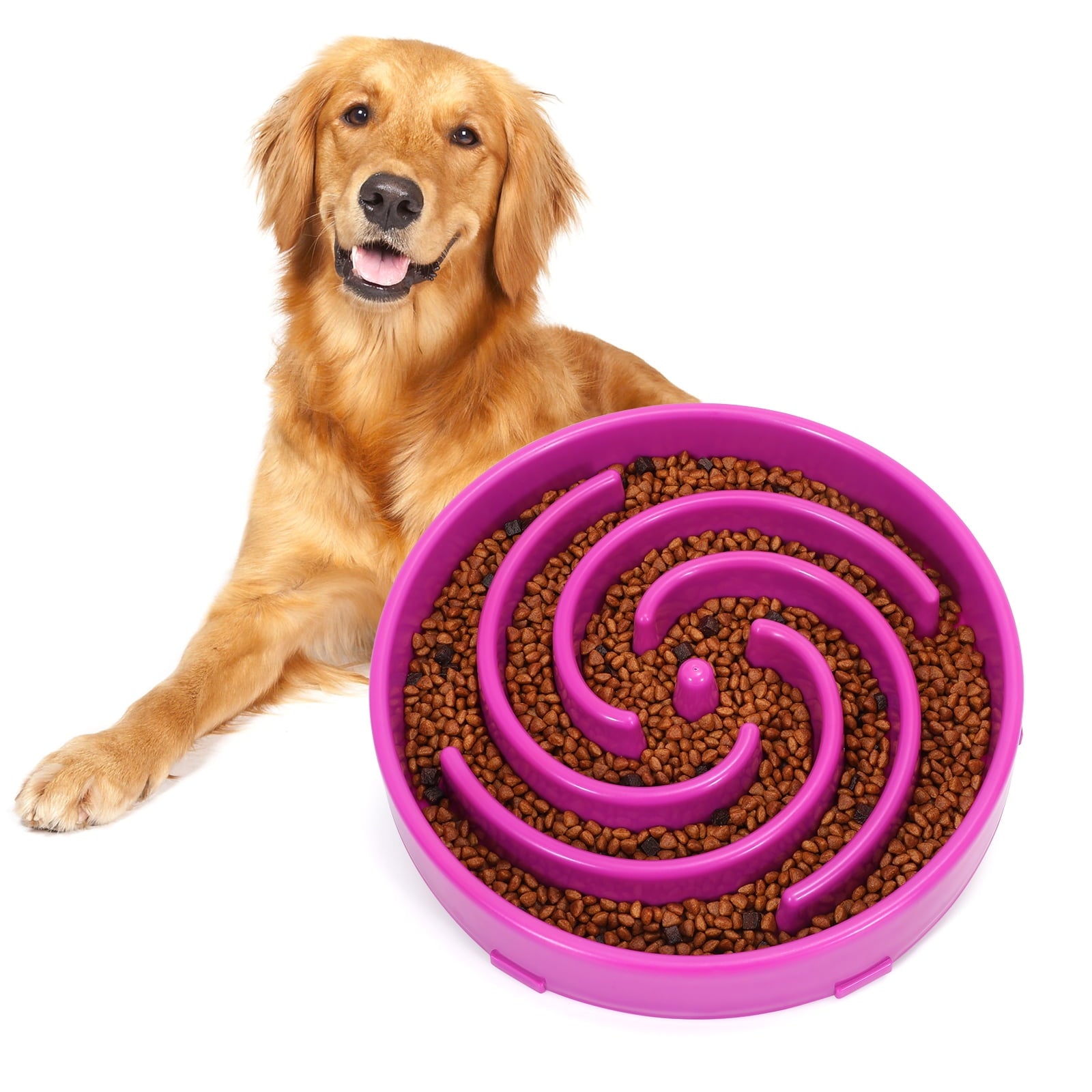 ZenPaw Feeder - Lavender