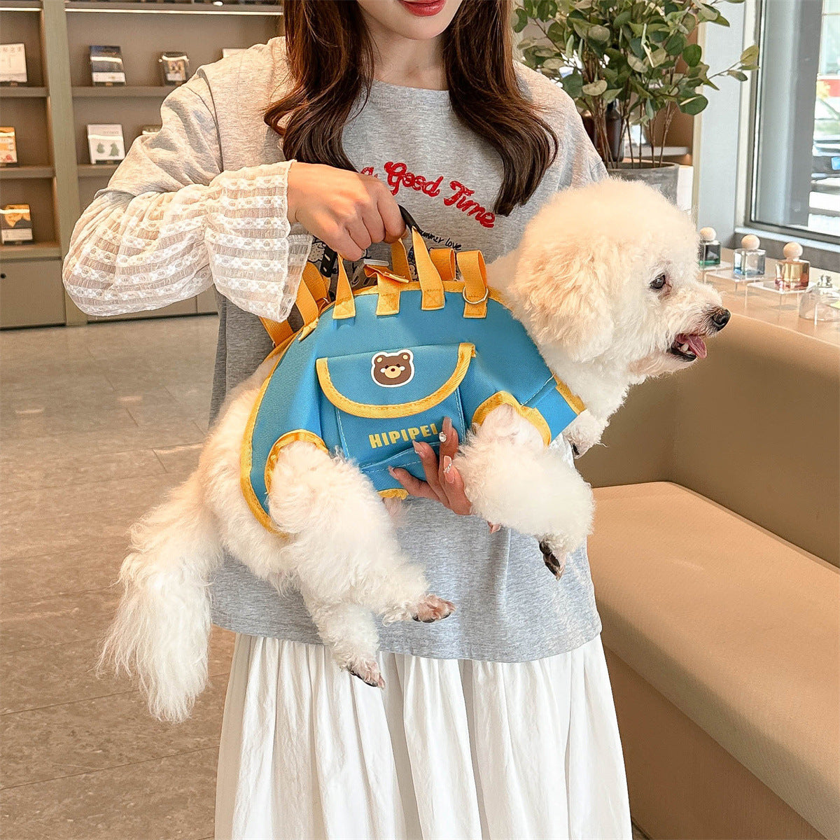 Foldable Breathable Pet Carrier Backpack