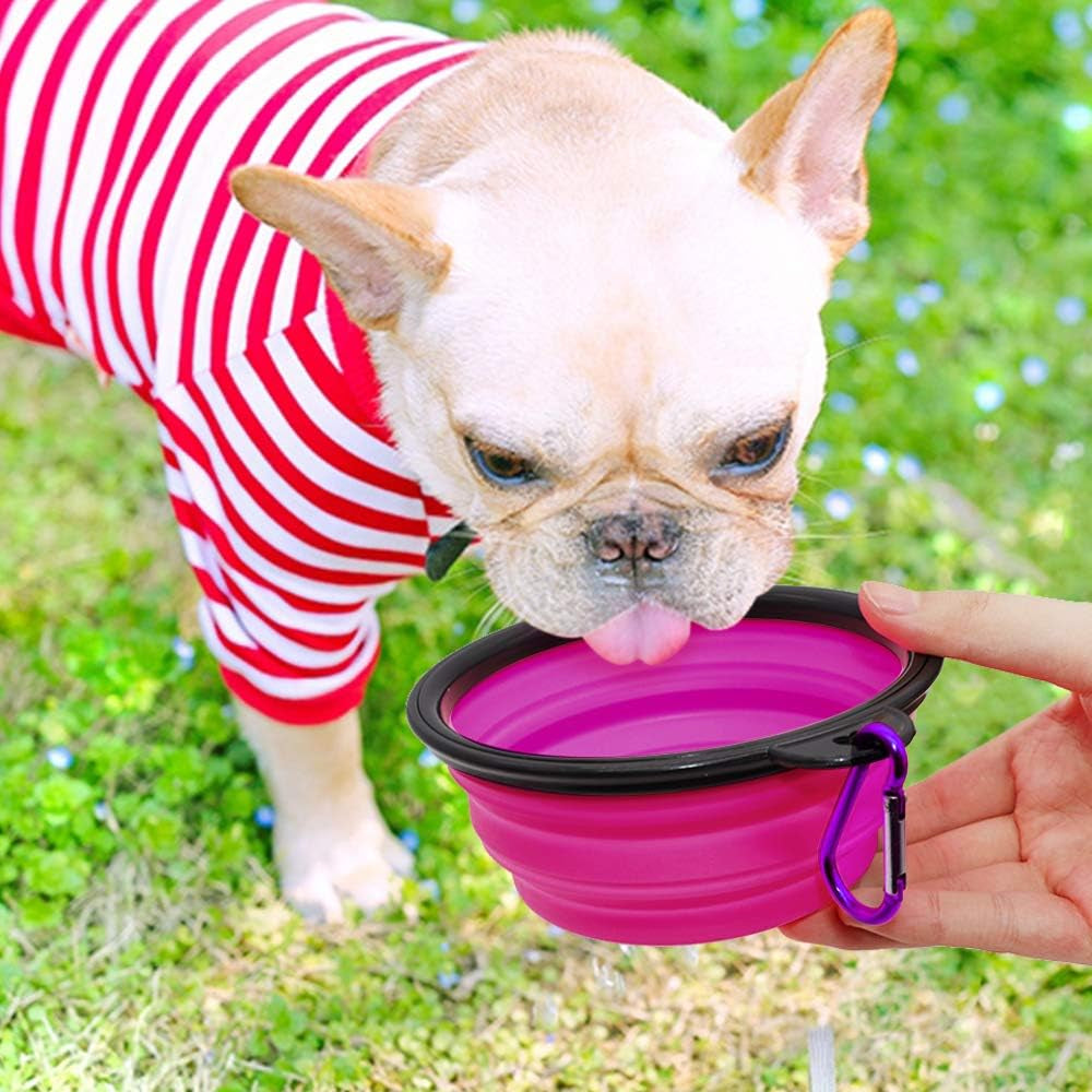 TrailSip Travel Bowl