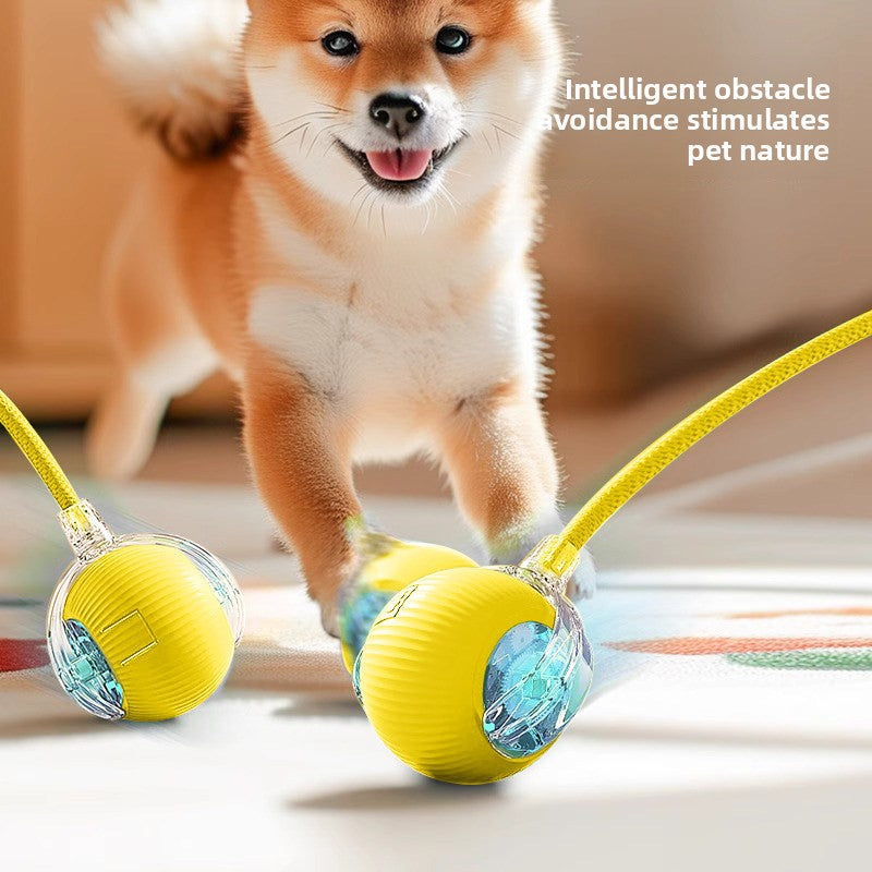 Pet toy ball