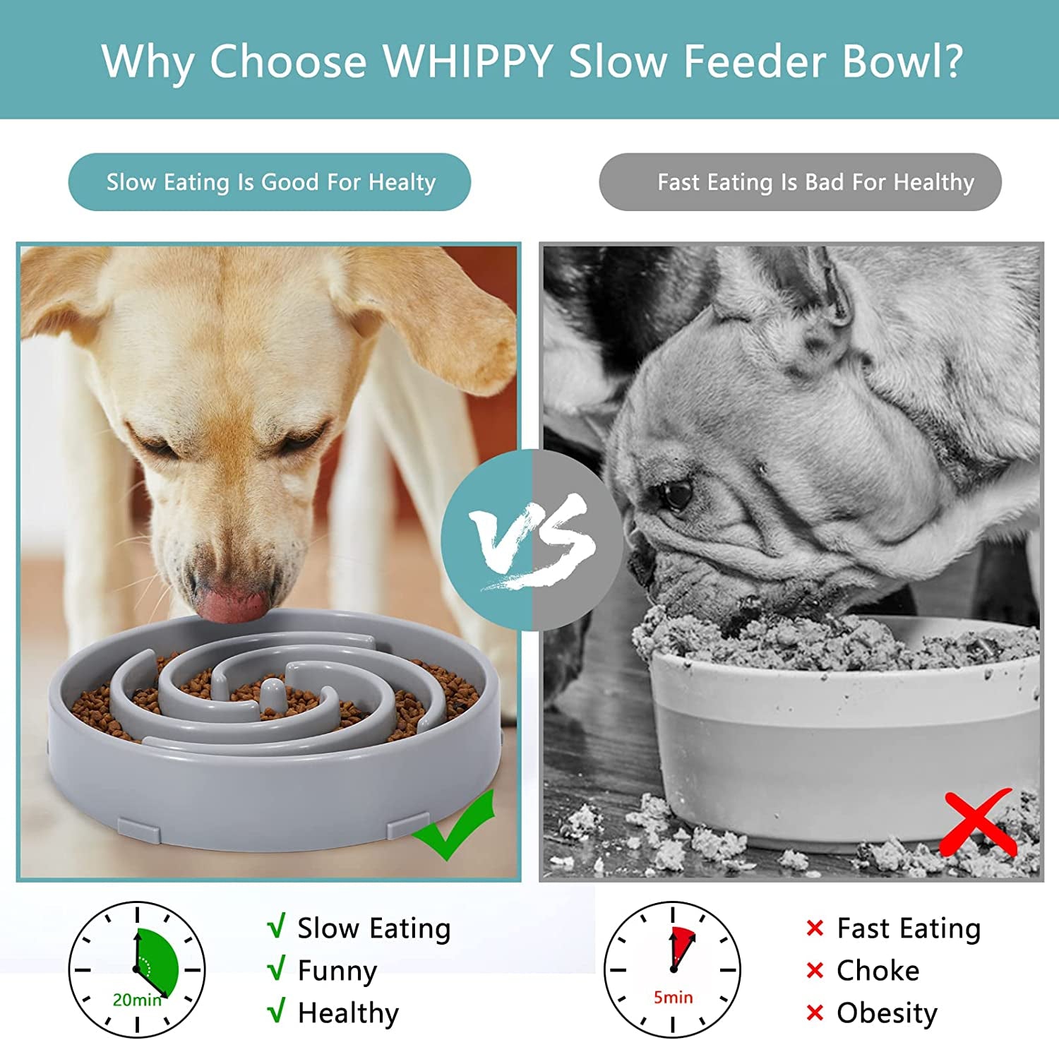 ZenPaw Feeder