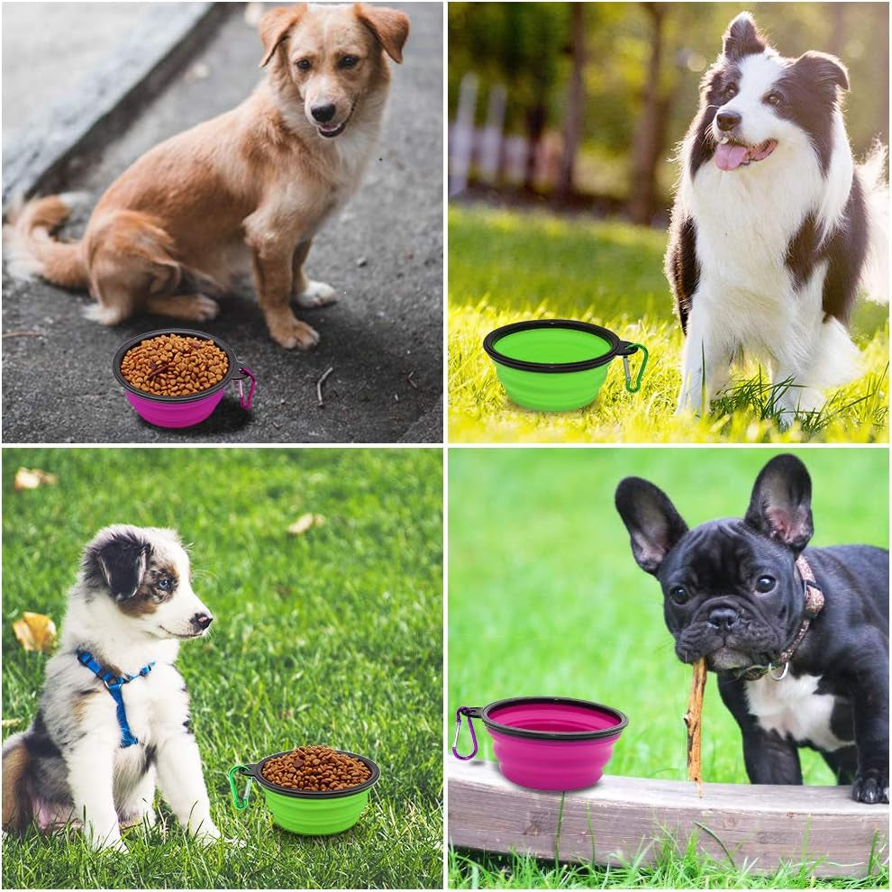 TrailSip Travel Bowl